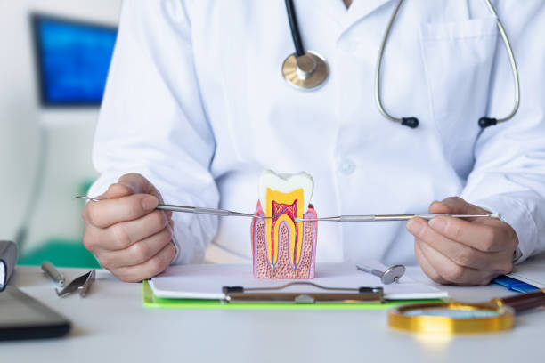 Best Urgent Tooth Repair  in Port Byron, IL